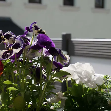 Ferienwohnung Mit Terrasse Bei Familie Wohlgemuth * クロルト・オーバーヴィーゼンタール